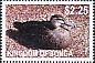 Pacific Black Duck Anas superciliosa  2012 Definitives White frames