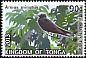 Black Noddy Anous minutus  2013 Definitives White frames