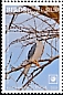 Scissor-tailed Kite Chelictinia riocourii  2018 Birds of prey White frames