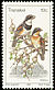 Cape Batis Batis capensis  1980 Birds 