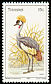 Grey Crowned Crane Balearica regulorum