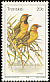 Spectacled Weaver Ploceus ocularis  1980 Birds 