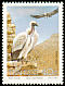 Cape Vulture Gyps coprotheres  1991 Endangered birds 