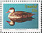 Red-billed Teal Anas erythrorhyncha  1992 Ducks 4 strips