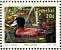 Maccoa Duck Oxyura maccoa  1992 Pretoria 92  MS