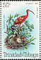 Scarlet Ibis Eudocimus ruber