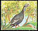 Trinidad Piping Guan Pipile pipile