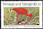 Scarlet Ibis Eudocimus ruber