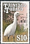 Western Cattle Egret Ardea ibis