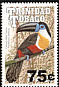 Channel-billed Toucan Ramphastos vitellinus