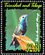 Black-throated Mango Anthracothorax nigricollis  2002 Hummingbirds 