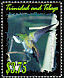 White-chested Emerald Chrysuronia brevirostris  2002 Hummingbirds 
