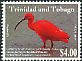 Scarlet Ibis Eudocimus ruber