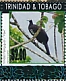 Trinidad Piping Guan Pipile pipile