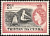 Atlantic Yellow-nosed Albatross Thalassarche chlororhynchos  1954 Definitives 