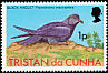Great-winged Petrel Pterodroma macroptera  1977 Birds 
