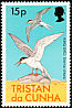 Antarctic Tern Sterna vittata  1977 Birds 