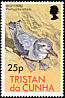 Broad-billed Prion Pachyptila vittata  1977 Birds 