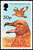 Brown Skua Stercorarius antarcticus  1977 Birds 