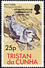 Broad-billed Prion Pachyptila vittata  1982 Overprint 1ST PARTICIPATION... on 1977.01 