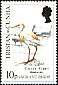 Western Cattle Egret Bubulcus ibis  1989 Vagrant birds 