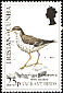 Spotted Sandpiper Actitis macularius  1989 Vagrant birds 