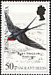 Barn Swallow Hirundo rustica  1989 Vagrant birds 
