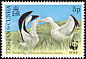 Snowy Albatross Diomedea exulans  1999 WWF 