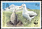 Wandering Albatross Diomedea exulans