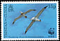 Snowy Albatross Diomedea exulans  1999 WWF 