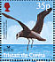 Spectacled Petrel Procellaria conspicillata  2001 BirdLife International Sheet