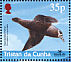 Spectacled Petrel Procellaria conspicillata  2001 BirdLife International Sheet