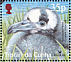 Spectacled Petrel Procellaria conspicillata  2001 BirdLife International Sheet