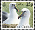 Atlantic Yellow-nosed Albatross Thalassarche chlororhynchos  2003 BirdLife International White frame