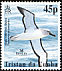 Atlantic Yellow-nosed Albatross Thalassarche chlororhynchos  2003 BirdLife International White frame