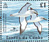 Atlantic Yellow-nosed Albatross Thalassarche chlororhynchos