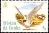 Antarctic Tern Sterna vittata  2005 Bird definitives 