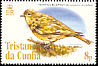 Inaccessible Island Finch Nesospiza acunhae  2005 Bird definitives 