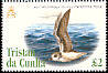 Soft-plumaged Petrel Pterodroma mollis  2005 Bird definitives 