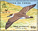 Great Shearwater Ardenna gravis  2007 BirdLife International Sheet