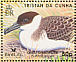 Great Shearwater Ardenna gravis  2007 BirdLife International Sheet