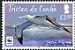 Tristan Albatross Diomedea dabbenena  2013 WWF 