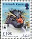 Northern Rockhopper Penguin Eudyptes moseleyi  2017 WWF Sheet