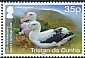 Tristan Albatross Diomedea dabbenena  2020 25th anniversary world heritage site 