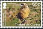 Gough Finch Rowettia goughensis  2020 25th anniversary world heritage site 