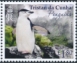 Chinstrap Penguin Pygoscelis antarcticus