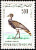 Houbara Bustard Chlamydotis undulata  1965 Birds of Tunisia 