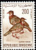 Barbary Partridge Alectoris barbara  1966 Birds of Tunisia 