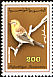 European Serin Serinus serinus  1992 Birds 