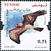 Tunisia 2022 Raptors of Tunisia 